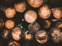 BILD:   		Holzbau als soziale Verpflichtung        