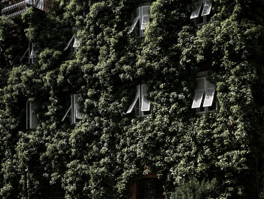 BILD:                       Parkhotel Mondschein | Südtirol                