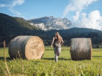 BILD:   		Der grüne Biobezirk Val di Gresta        