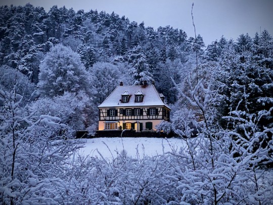 BILD:                       La Maison Forestière der Domaine Jaegerthal | Elsass                