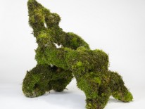 BILD:   		Regines Ausstellungstipp        